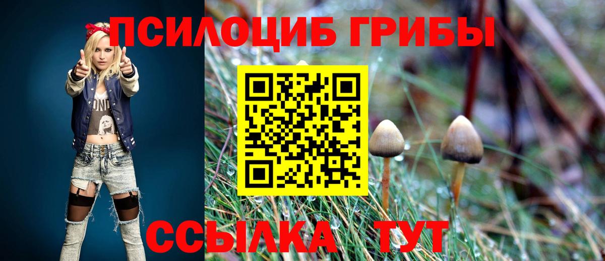 Галлюциногенные грибы мицелий  Вход с VPN  Зеленогорск 